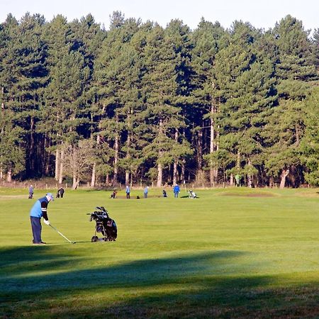 Formby Pinewood Studio Bed & Breakfast エクステリア 写真